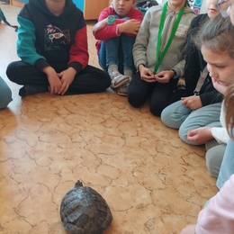 ŠD září a říjen ve 3. oddělení 