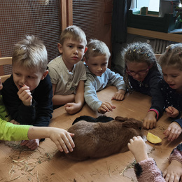 MŠ - listopad 2024 (1. část)