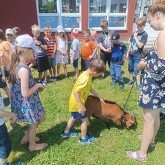 ŠD - Přijeli k nám koza Míša a beran Béďa