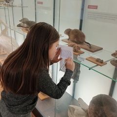 ŠD 3. oddělení – Návštěva Vlastivědného muzea