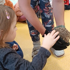 MŠ - listopad 2025 (2. část)