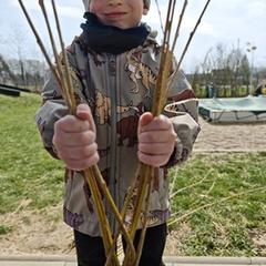Náhled obrázku