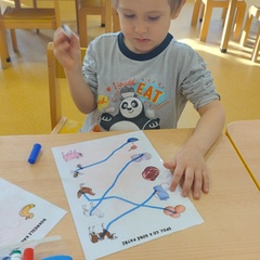 Náhled obrázku